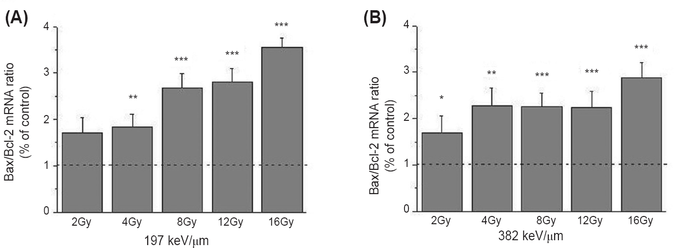 The ratio of Bax/Bcl-2 mRNA in HTB140 human melanoma cells 48 h after irradiation with 12C ions of 197 (A) and 382 keV/μm (B). Irradiation doses were 2 - 16 Gy. RPL19 was used as internal control. Mean±SD values, obtained from three experiments, of Bax/Bcl-2 ratios for irradiated samples were normalized to Bax/Bcl-2 ratio for control sample which was set as 1. P*<0.05, **<0.01, ***<0.001 compared to the control.